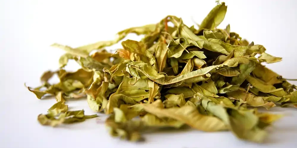 Травы для печени